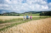 Wandern im Jura